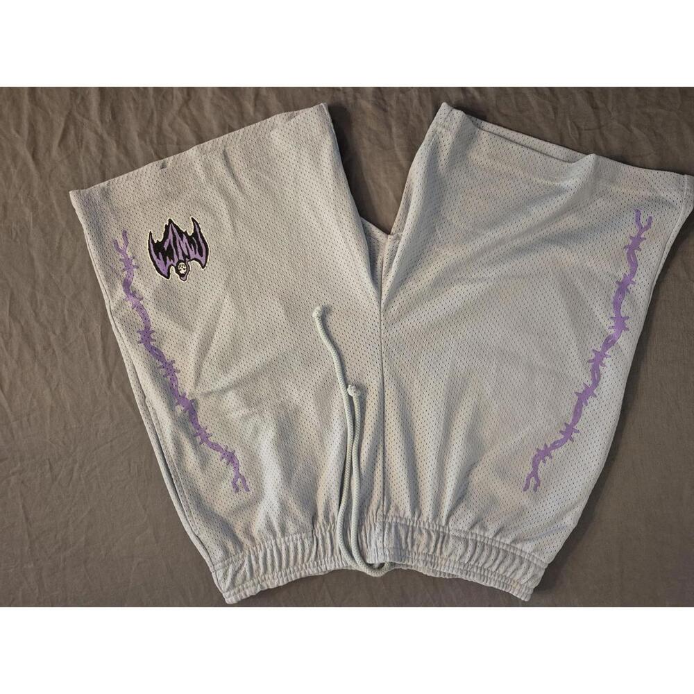 Warren Lotas Light Blue Mesh Shorts Size Small